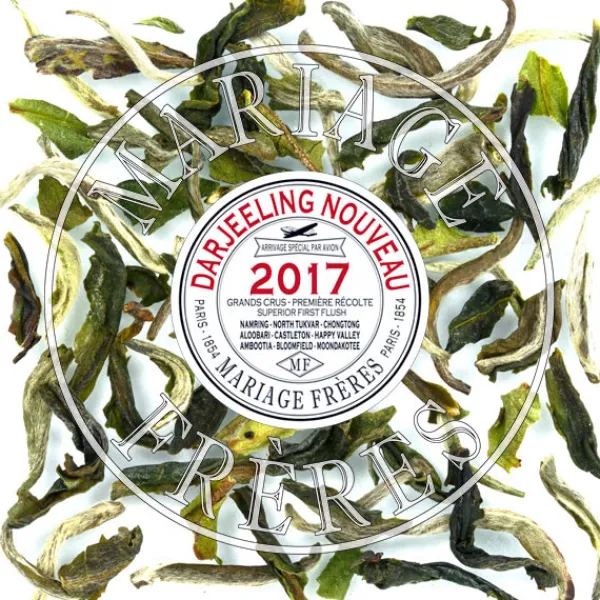 MARIAGE FRÈRES AMBOOTIA- Darjeeling|Himalaya - Darjeeling