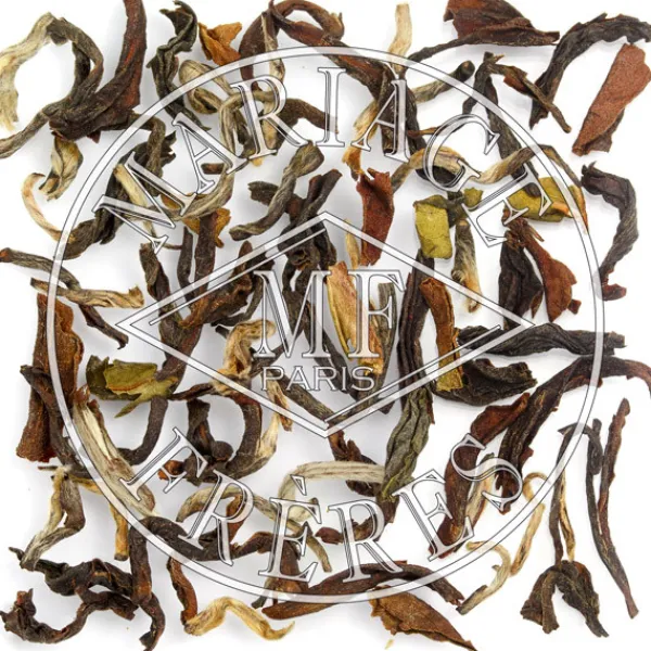 MARIAGE FRÈRES AMBOOTIA SFTGFOP1- Black Tea|Natural