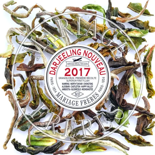 MARIAGE FRÈRES CHONGTONG - Thé jardin premier de Darjeeling,récolte de printemps- Darjeeling|Himalaya - Darjeeling