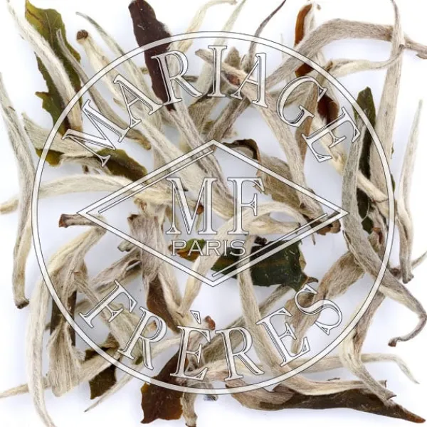 MARIAGE FRÈRES DONYI POLO WHITE TEA- White Tea|Natural