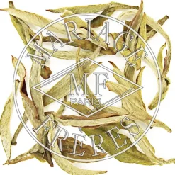 MARIAGE FRÈRES IVORY HIMALAYA™- White Tea|Natural