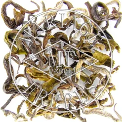 MARIAGE FRÈRES JADE HIMALAYA™- Green Tea|Natural