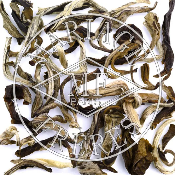 MARIAGE FRÈRES JASMIN EMPEREUR PU YI- Jasmine|Green Tea