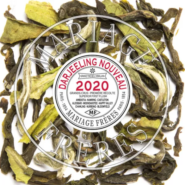 MARIAGE FRÈRES NAMRING KING UPPER- Darjeeling|Himalaya - Darjeeling