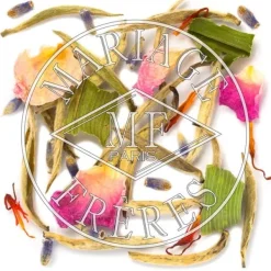 MARIAGE FRÈRES NEIGE DE SOIE- White Tea|Fruity & Flowery