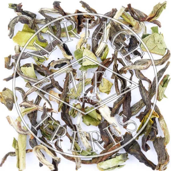 MARIAGE FRÈRES PANITAR- Black Tea|Natural