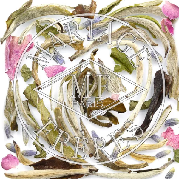MARIAGE FRÈRES PARIS-PROVENCE- White Tea|Fruity & Flowery