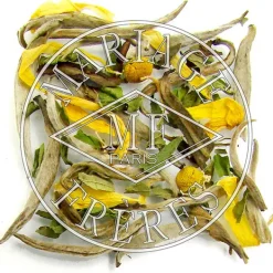 MARIAGE FRÈRES THÉ APRÈS L'ORAGE- White Tea|Fruity & Flowery