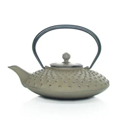 MARIAGE FRÈRES Théière « KANBIN »- Cast-Iron Teapot|Teapots And Teacups